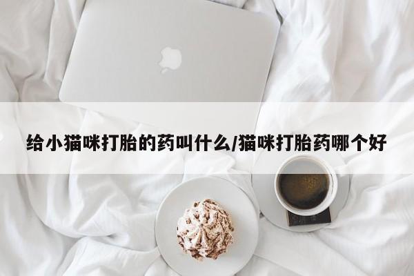 买打胎药私人联系方式给小猫咪打胎的药叫什么/猫咪打胎药哪个好